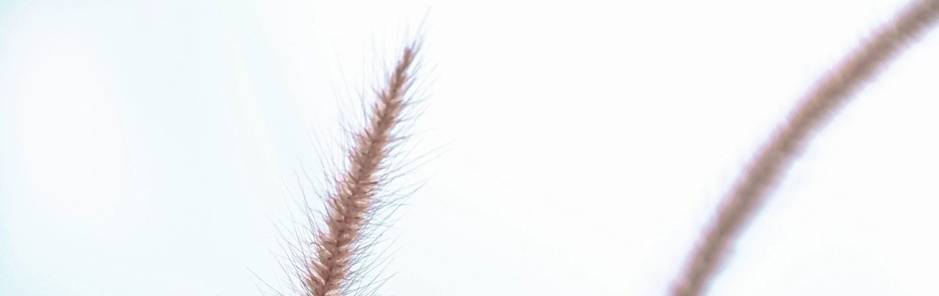 Sharp Regulatory Consulting